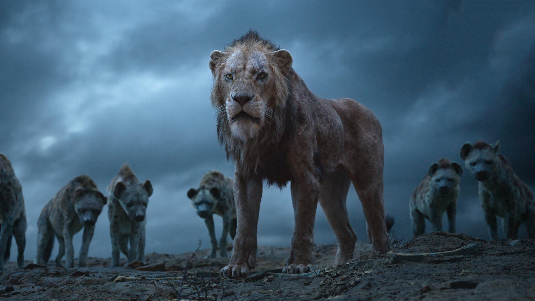 The lion king on best sale netflix 2019